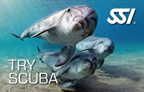 Discover Scuba Diving