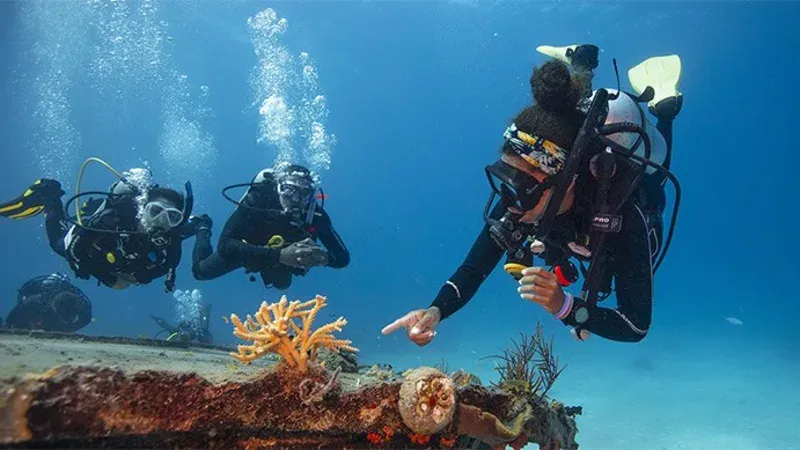 Divemaster