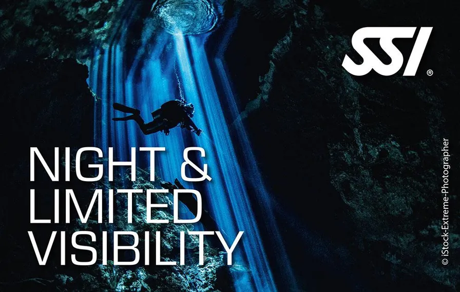 Night Diver