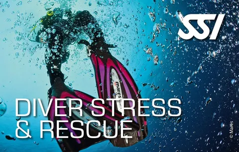 Rescue Diver