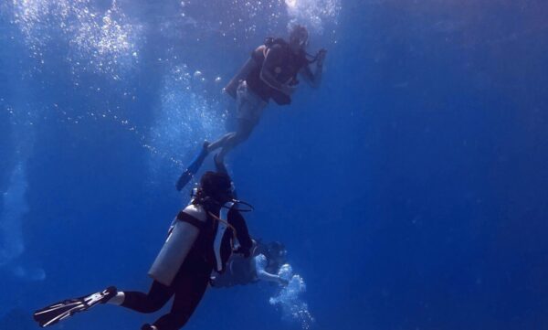 Rescue Diver