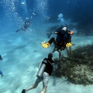 Open Water Diver