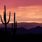 michaelasilviap Avatar